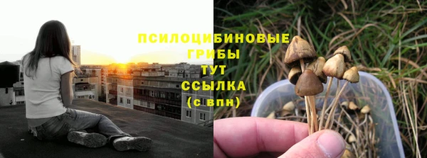 винт Балахна