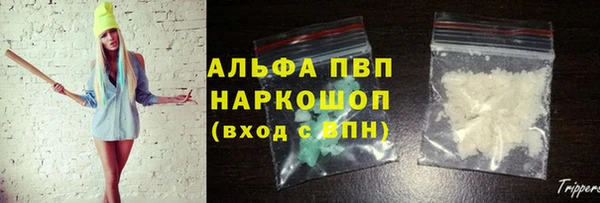 мяу мяу мука Баксан