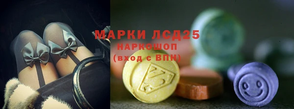 мяу мяу мука Баксан