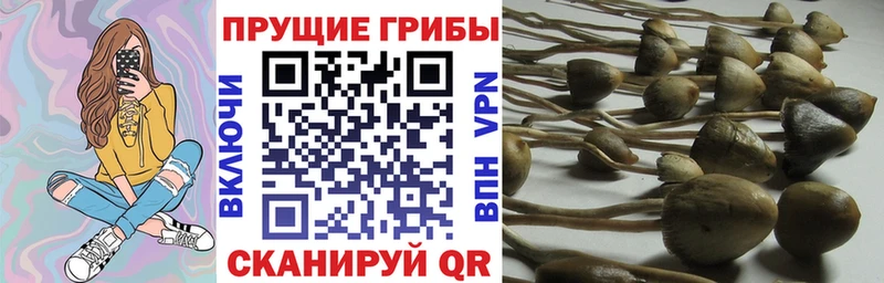 Псилоцибиновые грибы мухоморы  MEGA зеркало  Пересвет 